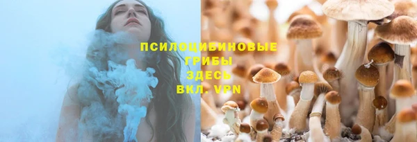 гашик Балабаново