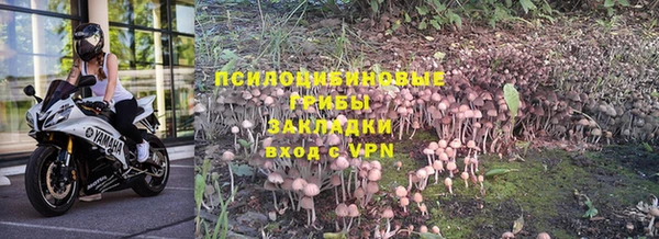 гашик Балабаново